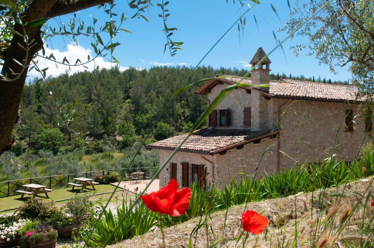 Agriturismo Molino Verde Montecchio  외부 사진