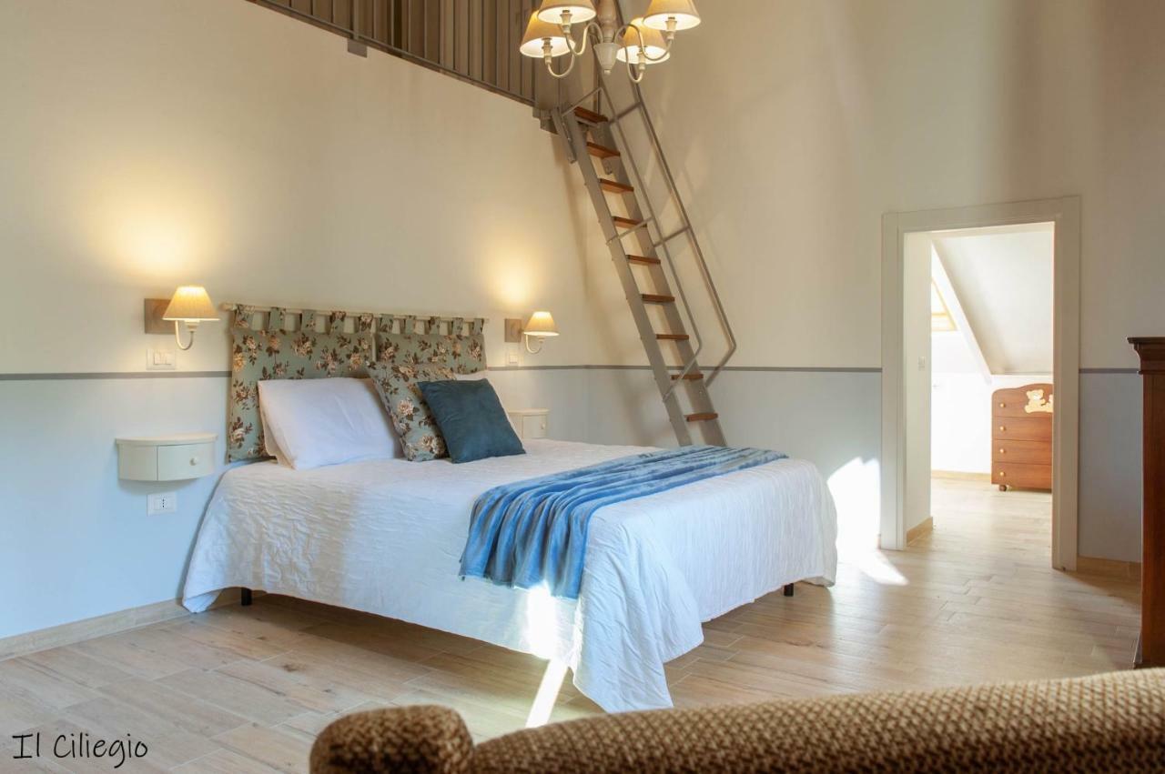 Agriturismo Molino Verde Montecchio  외부 사진