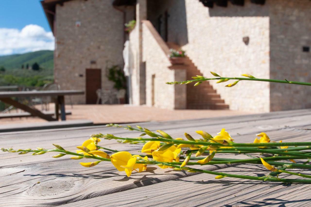 Agriturismo Molino Verde Montecchio  외부 사진