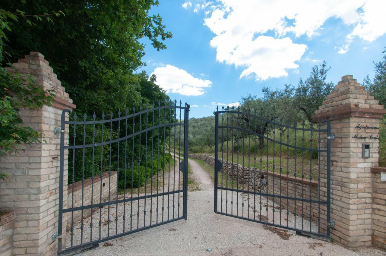 Agriturismo Molino Verde Montecchio  외부 사진