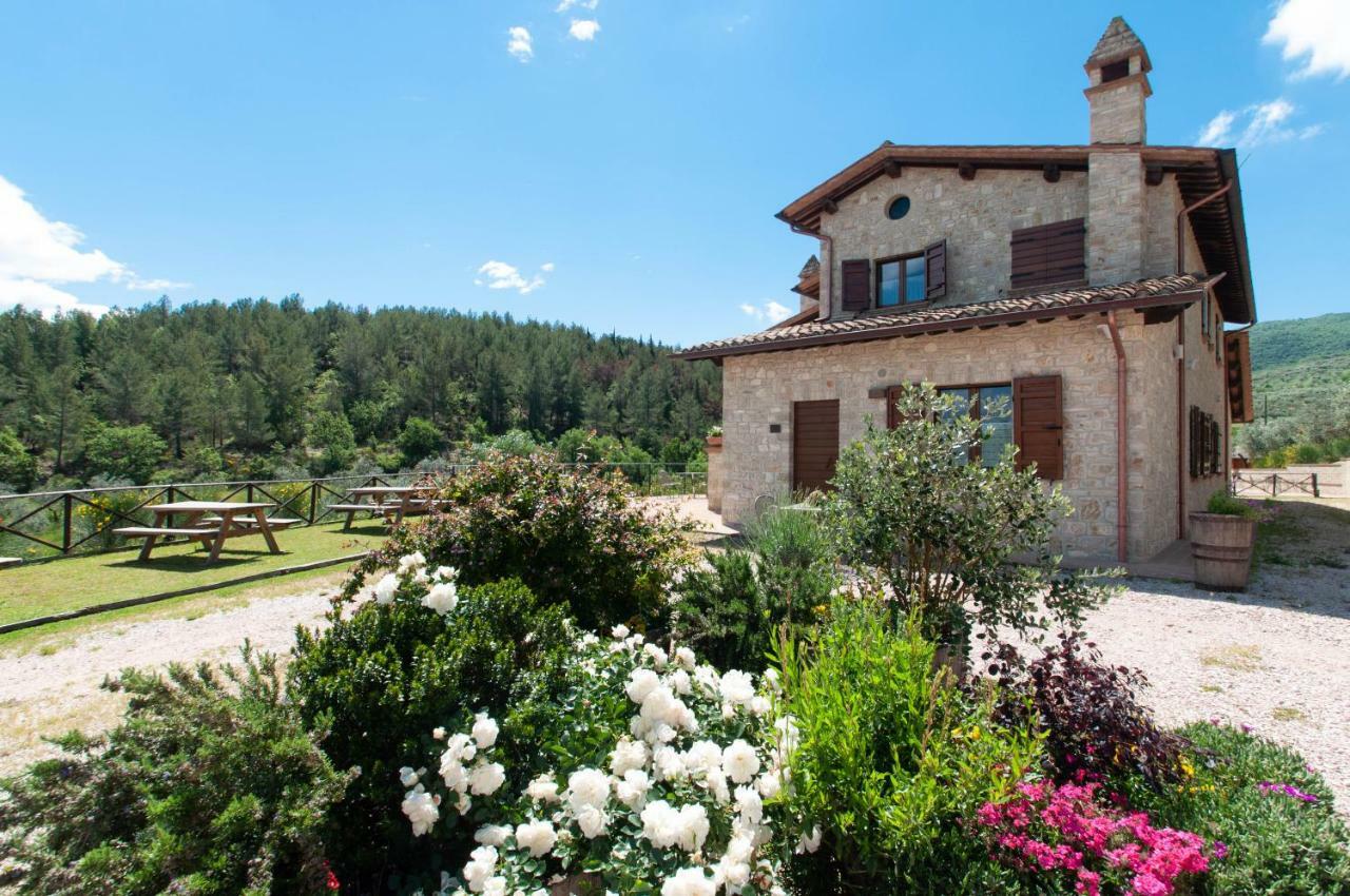 Agriturismo Molino Verde Montecchio  외부 사진
